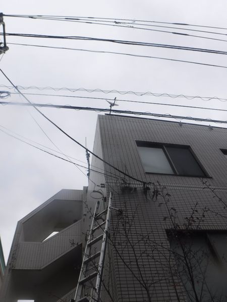 熱海市マンション地デジアンテナ工事