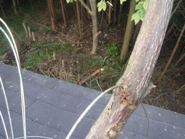 伊豆市アンテナ倒壊地デジアンテナ建替え工事