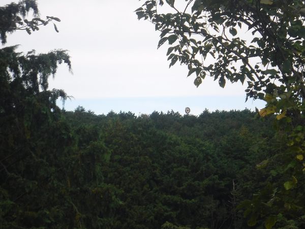 伊豆市アンテナ倒壊地デジアンテナ建替え工事